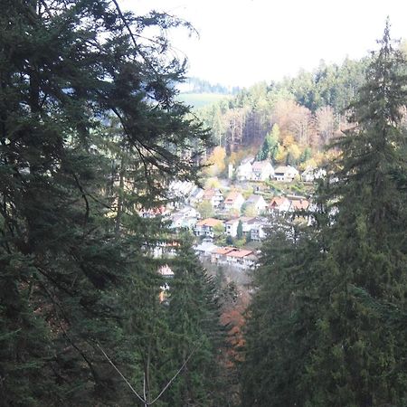 Relaxapartments Black Forest Diamond Direkt An Der Hornberger Freilichtbuehne - Sonnenterrasse Mit Blick Auf Das Hornberger Schloss, Schnelles Internet, Fuer Bis Zu 2 Personen Eksteriør bilde