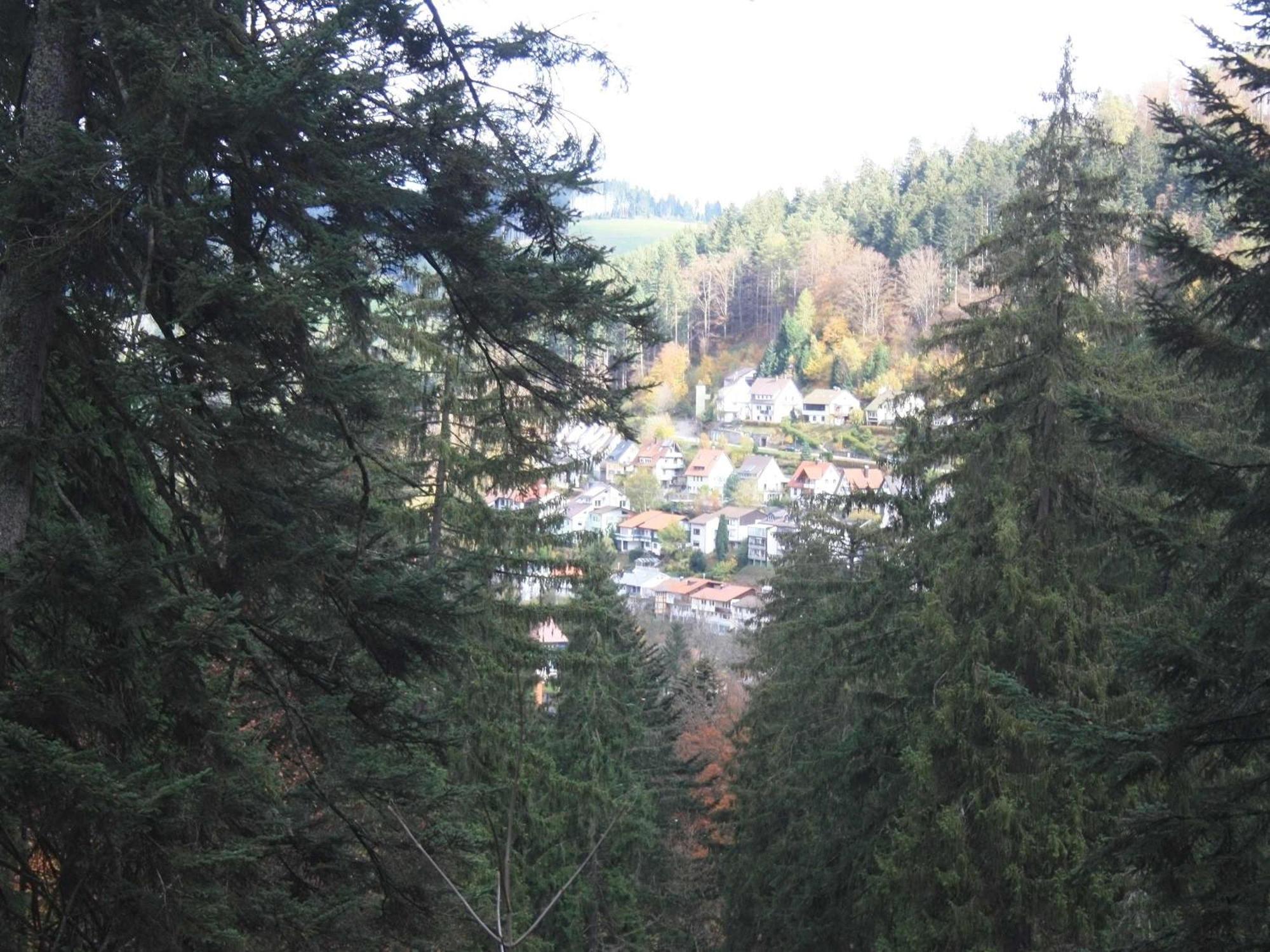 Relaxapartments Black Forest Diamond Direkt An Der Hornberger Freilichtbuehne - Sonnenterrasse Mit Blick Auf Das Hornberger Schloss, Schnelles Internet, Fuer Bis Zu 2 Personen Eksteriør bilde