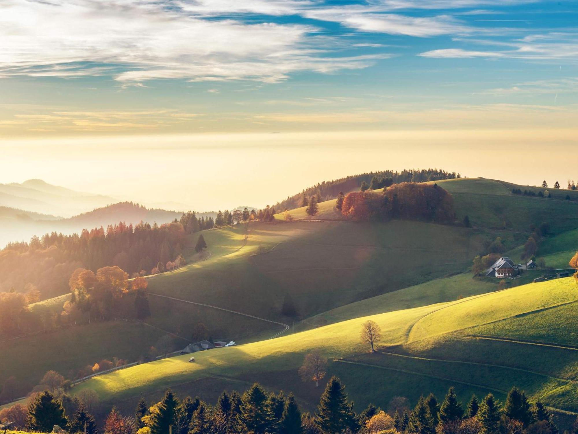 Relaxapartments Black Forest Diamond Direkt An Der Hornberger Freilichtbuehne - Sonnenterrasse Mit Blick Auf Das Hornberger Schloss, Schnelles Internet, Fuer Bis Zu 2 Personen Eksteriør bilde